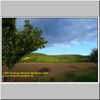 16706 Weinberge Bullenheim Oberfranken 2010.JPG